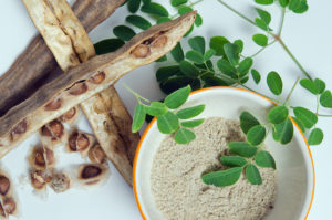 Moringa plant for health benefits